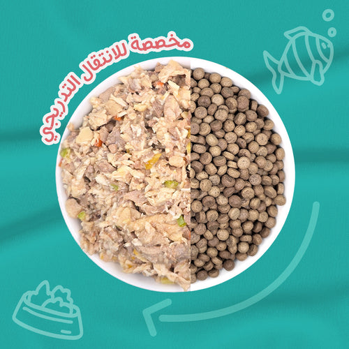 باقة التذوق