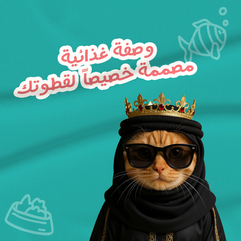 الوجبات المميزة