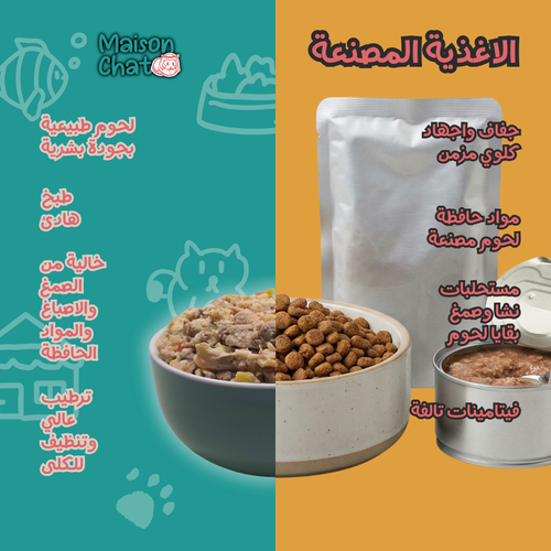 الاشتراكات - قطط