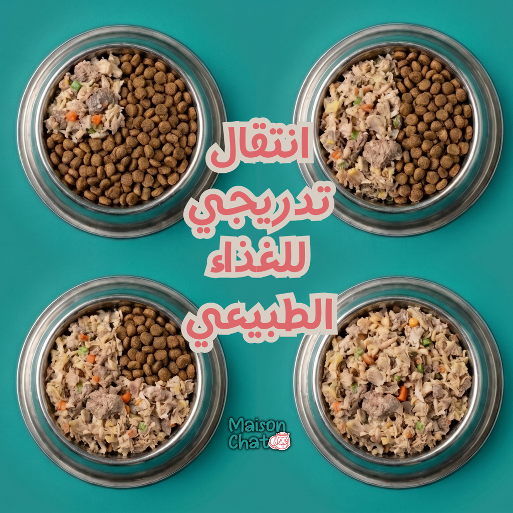 باقة التذوق - قطط