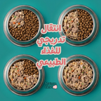 باقة التذوق - قطط
