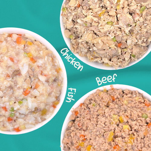 الوجبات اليومية